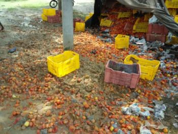 52864e2c-29f3-4930-bf47-df8ecdad6061