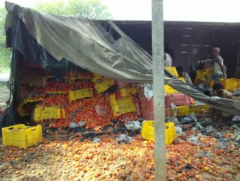 832a72df-5cae-4d2e-bc0c-3d32f9885bea