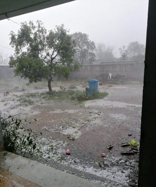 pnc ola vrishti – Patna Now – Local News Patna and Bihar | Breaking News  Patna | Patna News